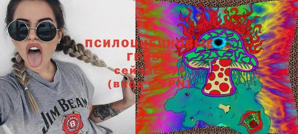 мдпв Абаза