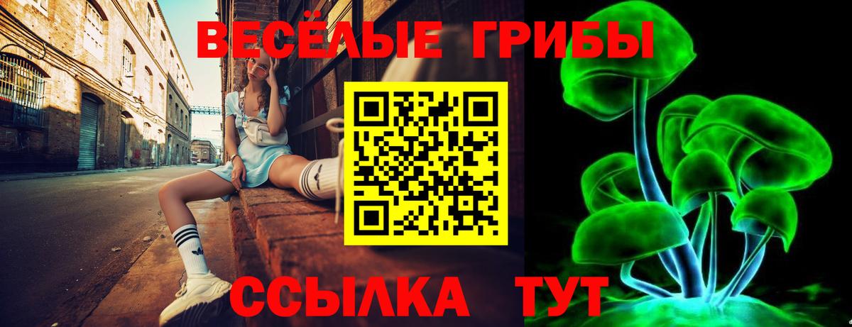 Галлюциногенные грибы ЛСД  Псилоцибиновые грибы мицелий  Фрязино  Вход с VPN 